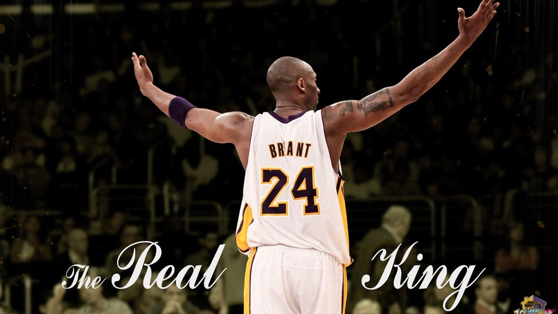 年轻天才引起豪门关注，未来可期，年轻才子